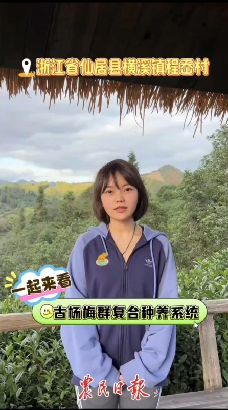 2023年11月，浙江仙居古杨梅群复合种养系统被联合国粮农组织认定为全球重要农业文化遗产