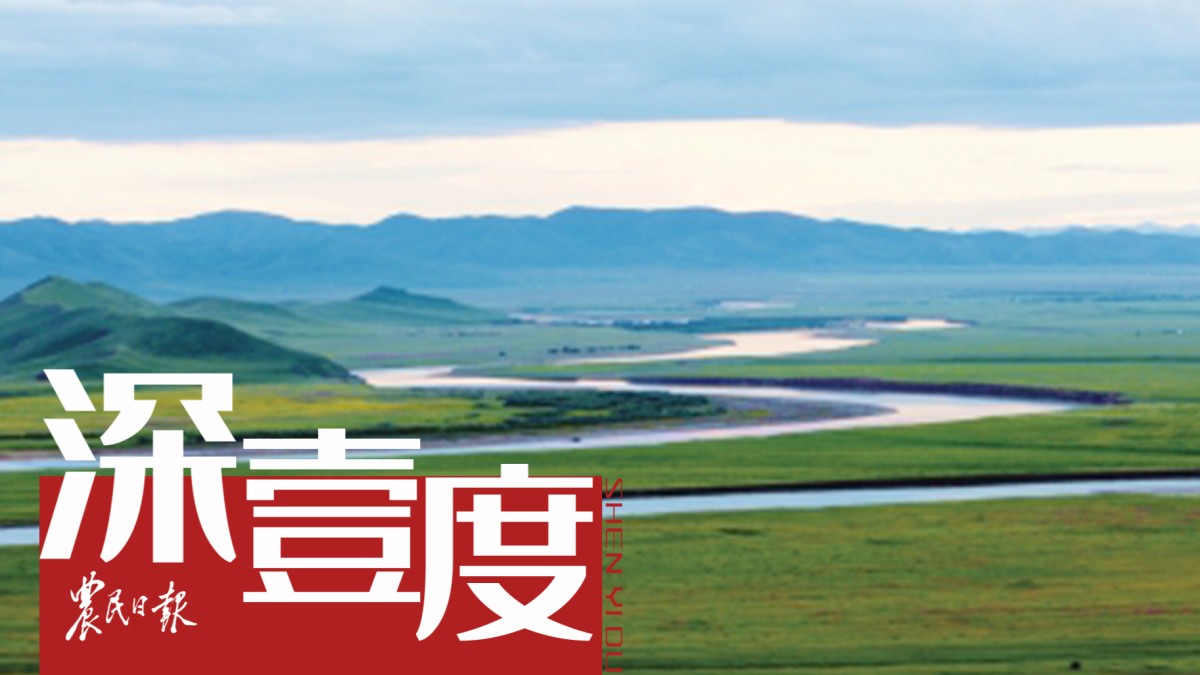 草牧业如何助力新时代“黄河大合唱”？
