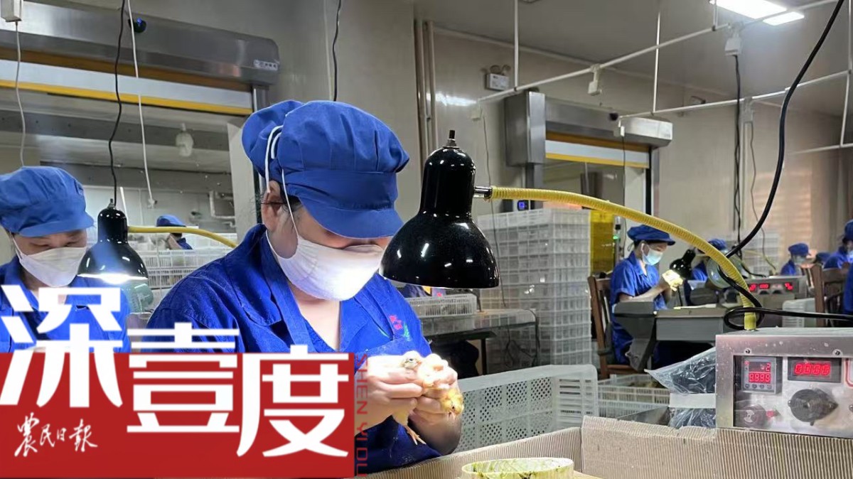 流水线上的小鸡性别鉴定师
