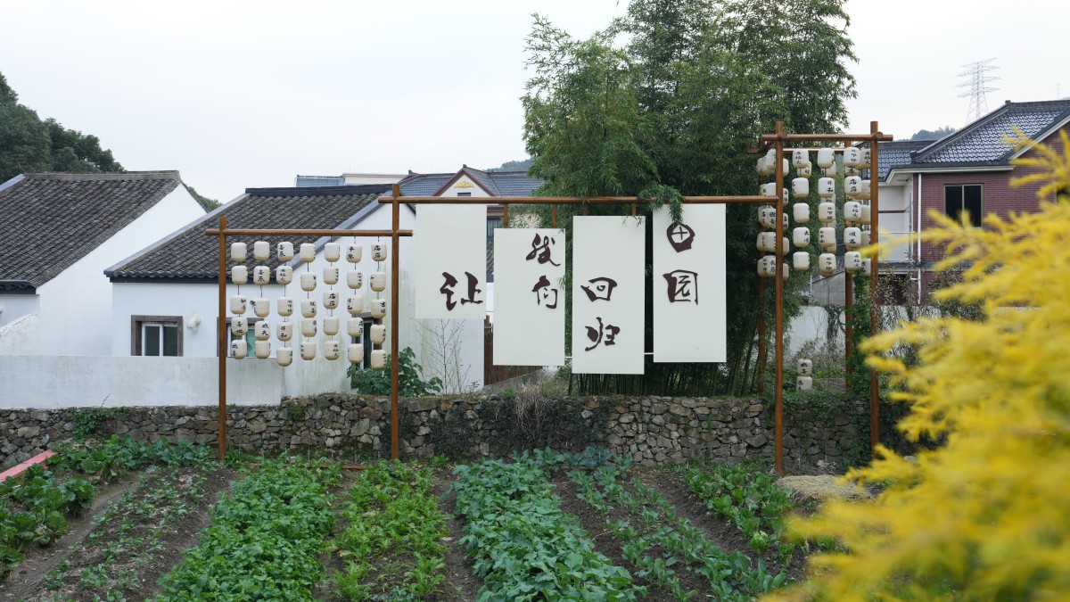 浙江舟山：建设海岛美丽乡村
