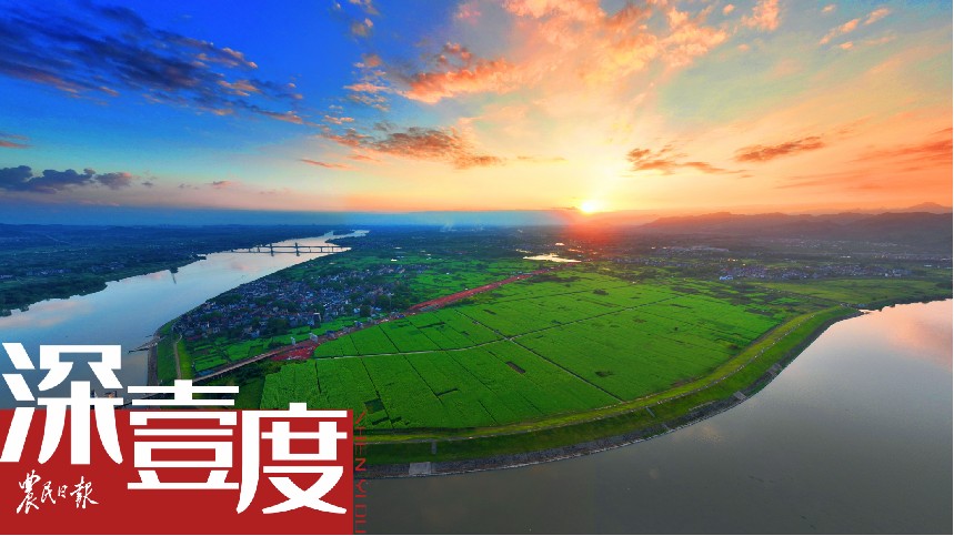 砥砺前行中的合作社