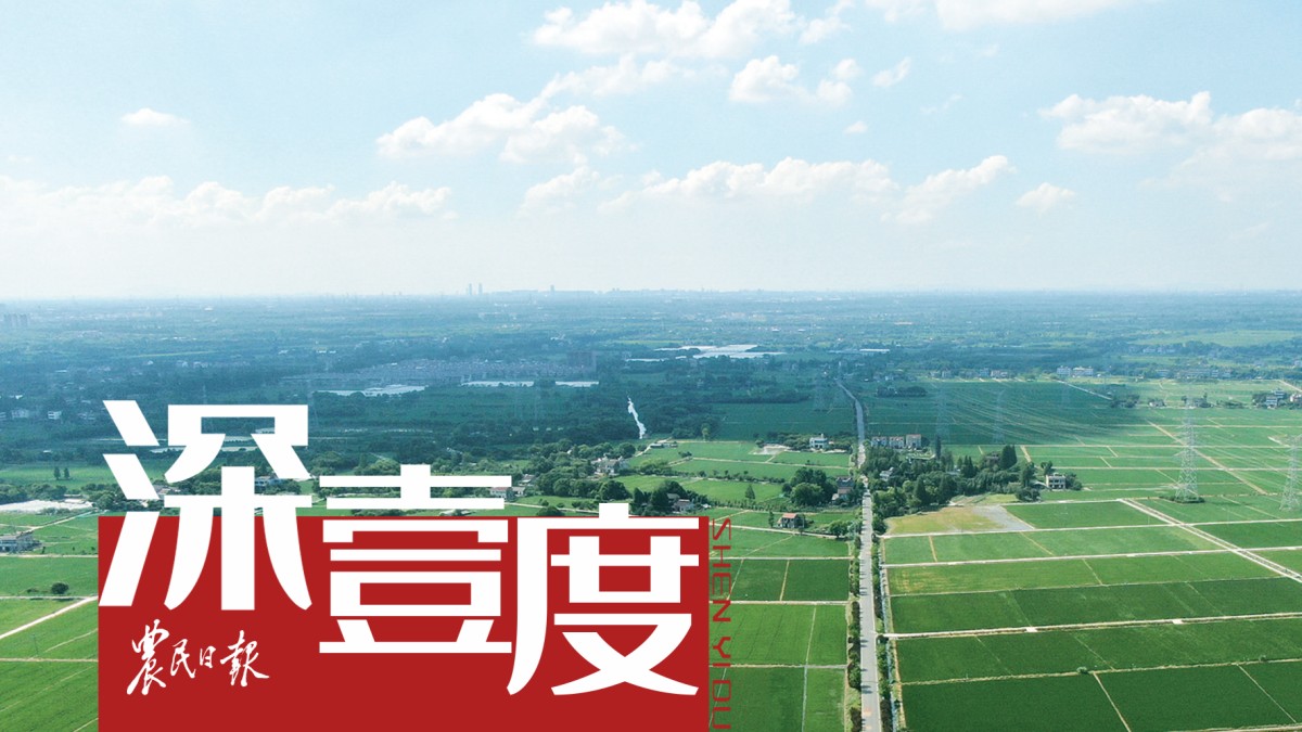 桐乡如何系统化推进农田建设？
