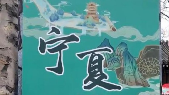 宁夏固原到底带啥上北京了