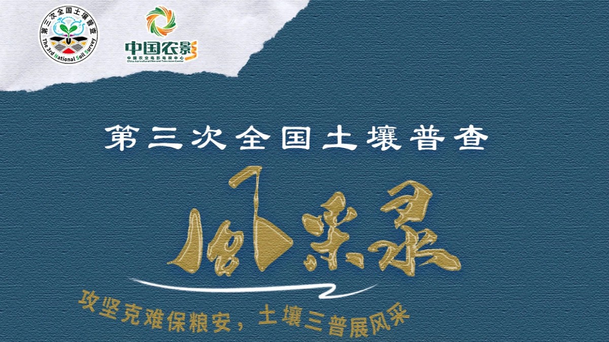 土壤三普风采录｜测土护土，一干就是一辈子