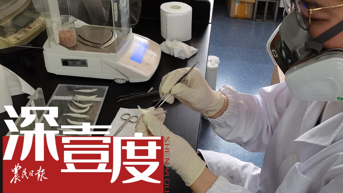 “太湖三白”重生记