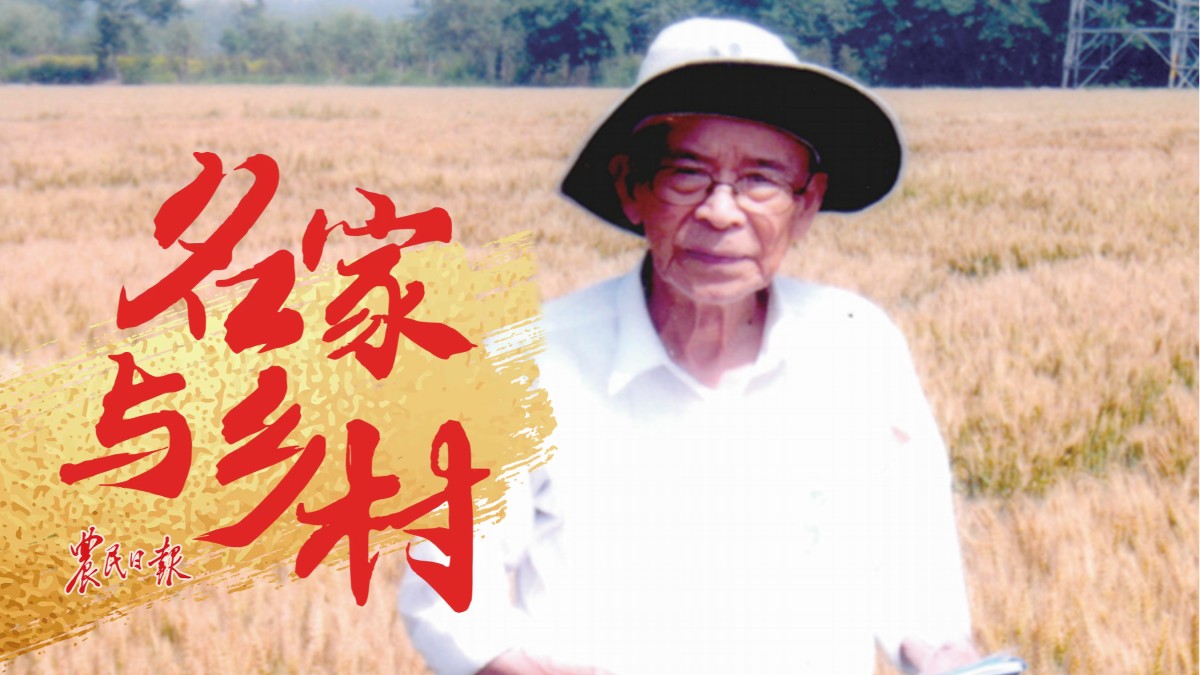 “扎根”麦田庄巧生