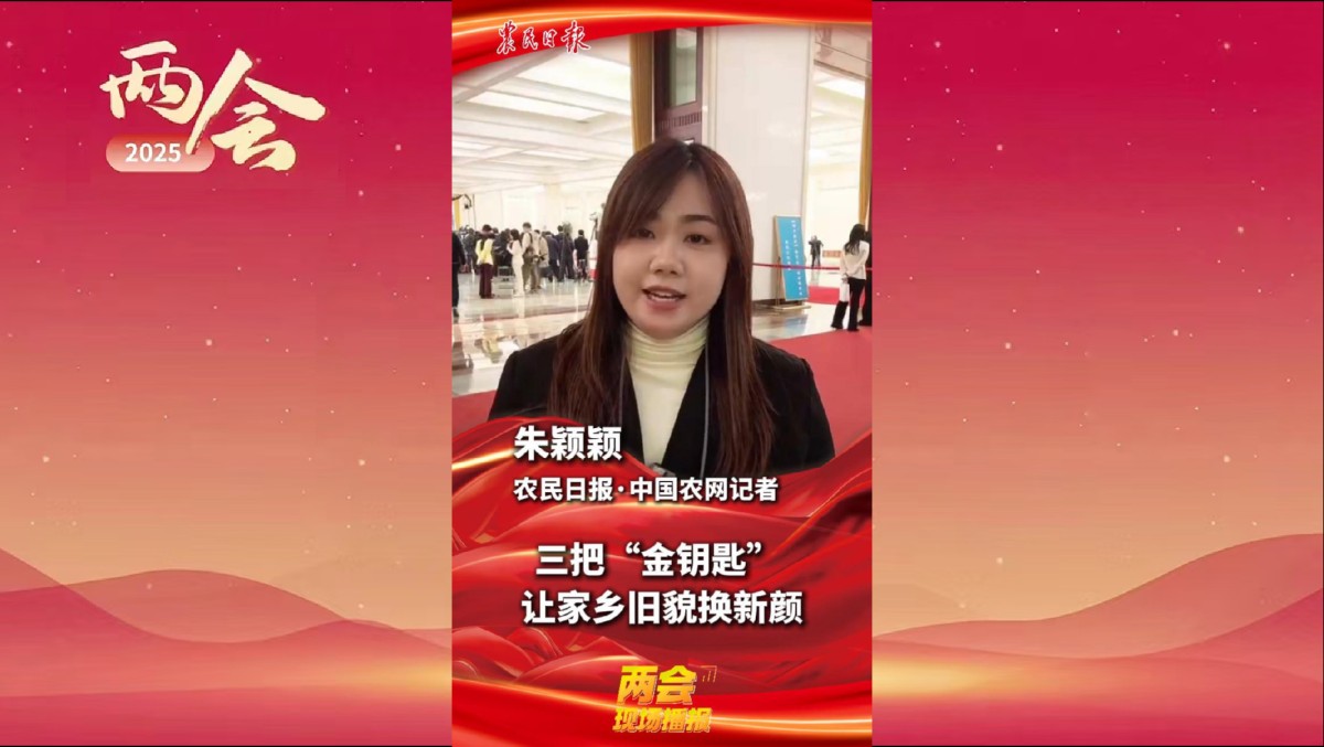 两会现场播报 | 三把“金钥匙” 让家乡旧貌换新颜！