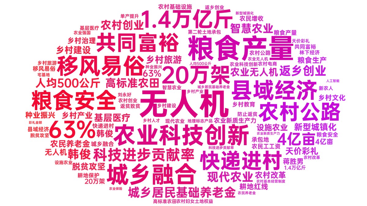 2025年全国两会“三农”热词分析