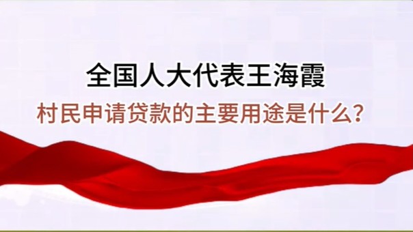 【两会声音】全国人大代表王海霞谈村民申请贷款的主要用途是什么？
