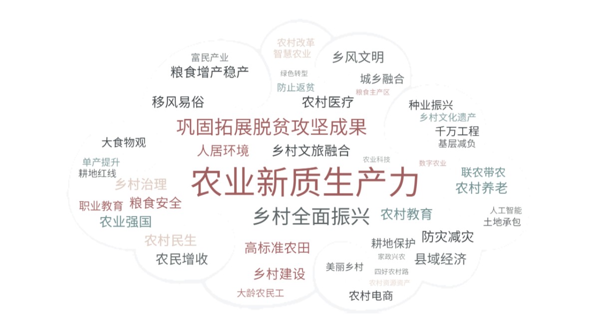 全国两会“三农”热词网友谈