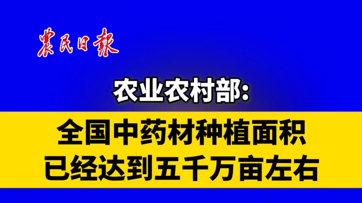 农业农村部：全国中药材种植面积已经达到五千万亩左右