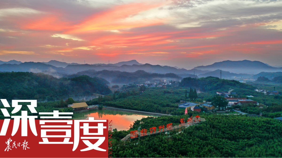 竹笋产业如何守住“舌尖上的鲜味”？