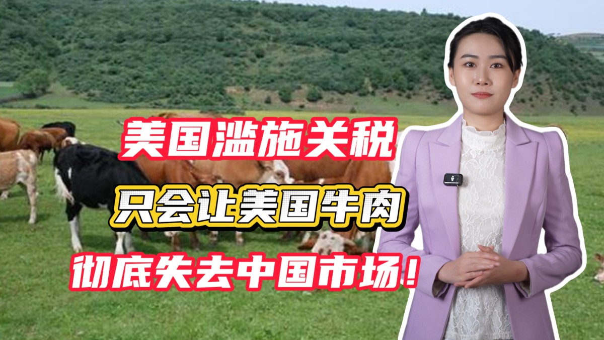 美国滥施关税，只会让美国牛肉彻底失去中国市场！