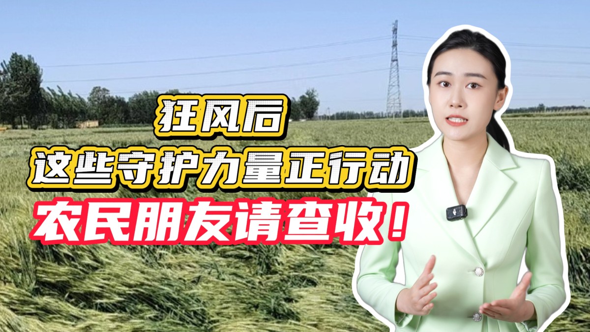 别慌！狂风后这些守护力量正在行动，农民朋友请查收！