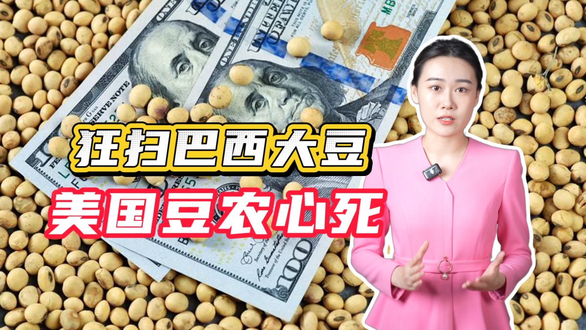 狂扫巴西大豆，美国豆农心死，中国大豆率先脱钩了？