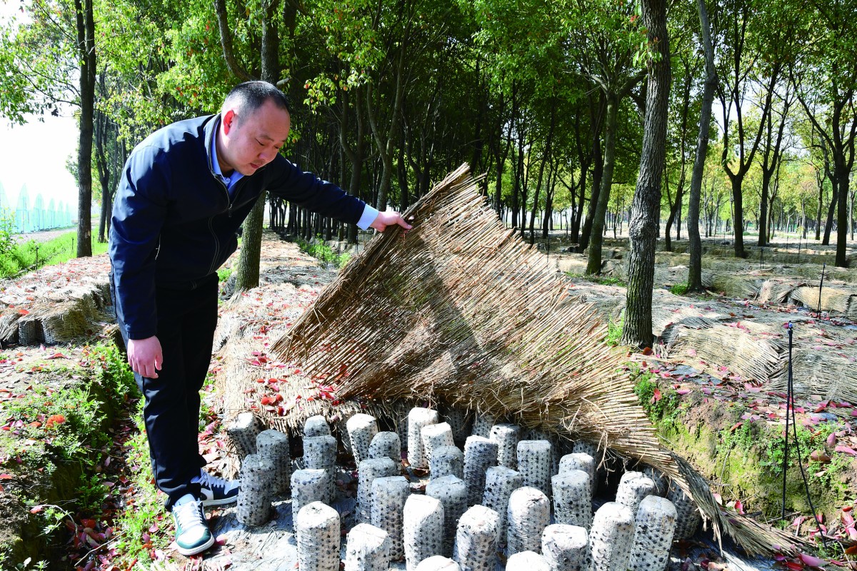 “兵支书”李子孝新战场上当“尖兵”