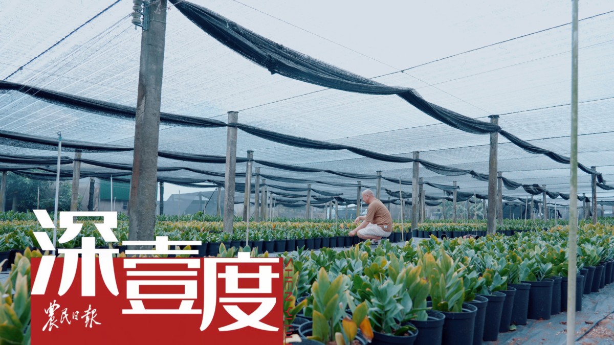 “漂”到海南　种地为生