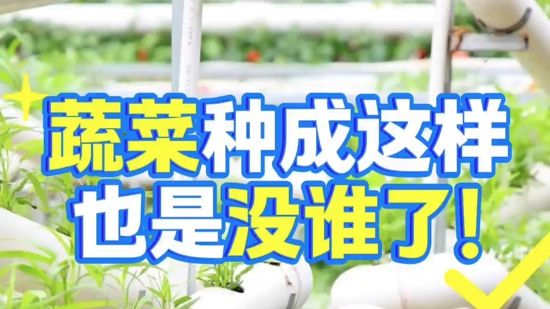“疯狂蔬菜城”里有啥黑科技