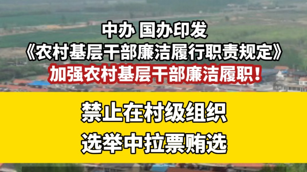 中办、国办印发《农村基层干部廉洁履行职责规定》禁止在村级组织选举中拉票贿选