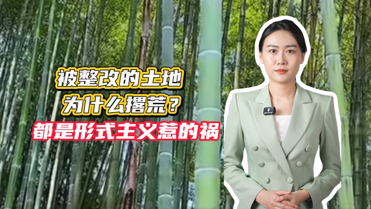 被整改的土地为什么撂荒？都是形式主义惹的祸→点击播放视频