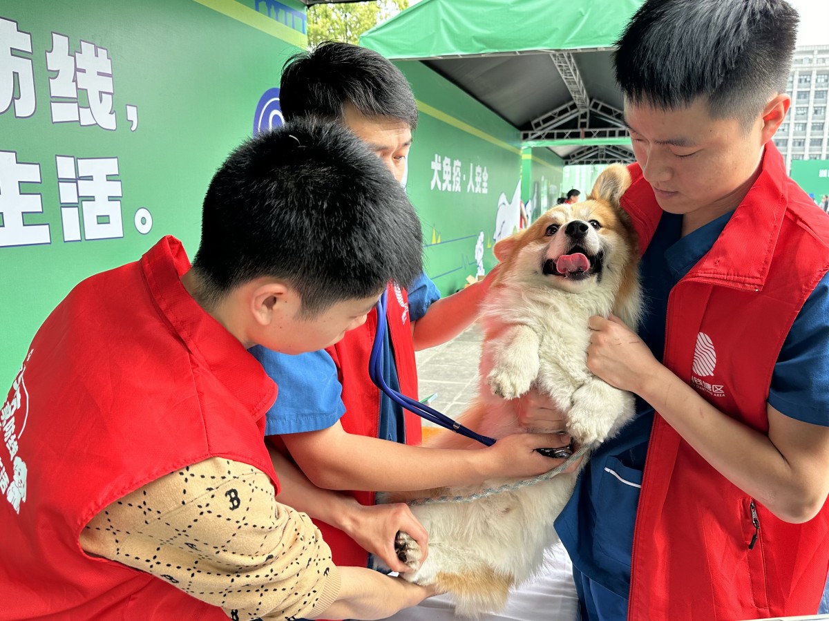 Ȯ塱Ȯжں