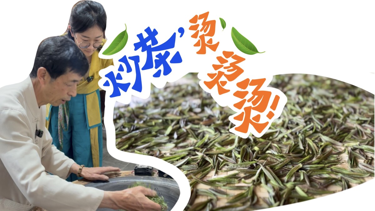 挑战100种三农职业 | 制茶师