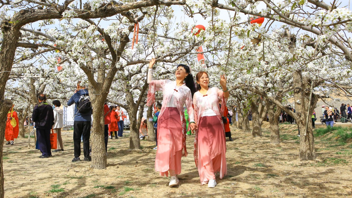 甘肃文殊：“赏花经济”助推乡村经济发展