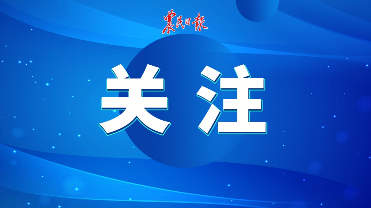 农业农村部部署推进粮油大面积单产提升工作