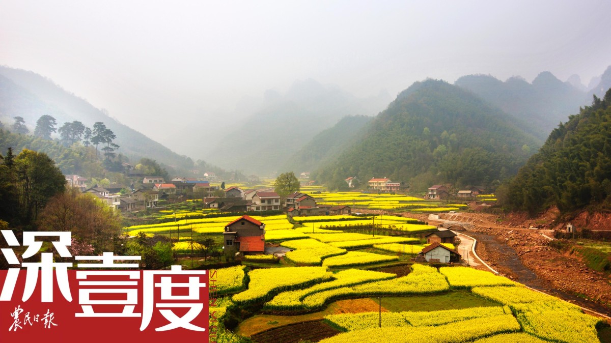 油菜大面积单产提升如何过四关？