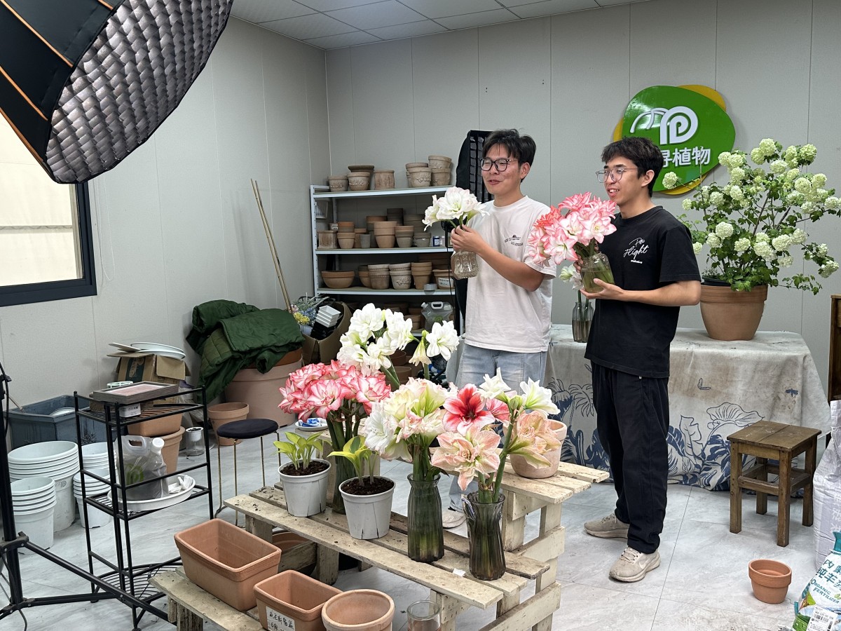 51.7亿元里的强村“致富经”——浙江嘉兴市发展新型农村集体经济路径探析