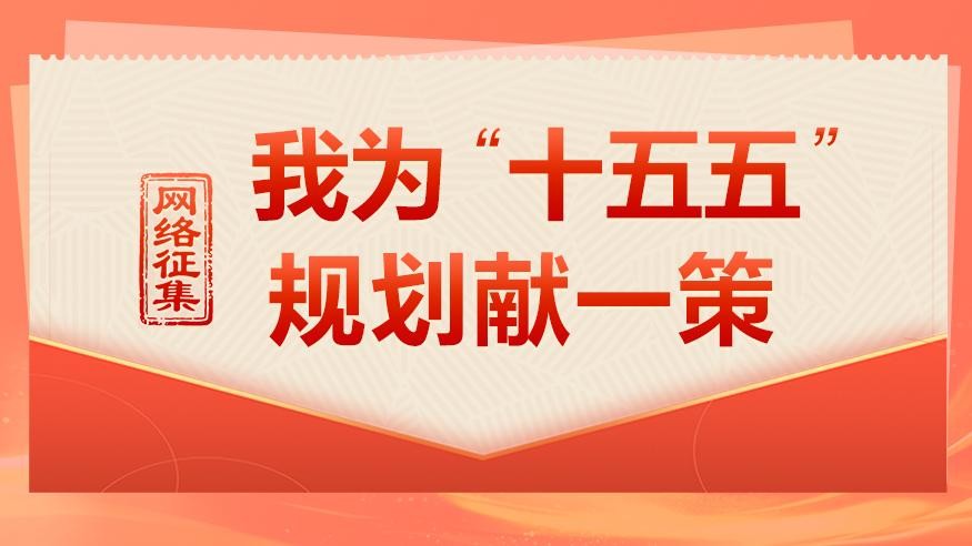 “十五五”规划编制工作开展网络征求意见活动