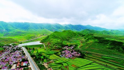 青海大通县举办林业有害生物监测防治培训班