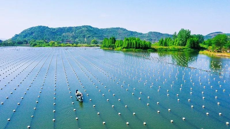 全球重要农业文化遗产系统：中国、巴西、墨西哥和西班牙新增遗产地