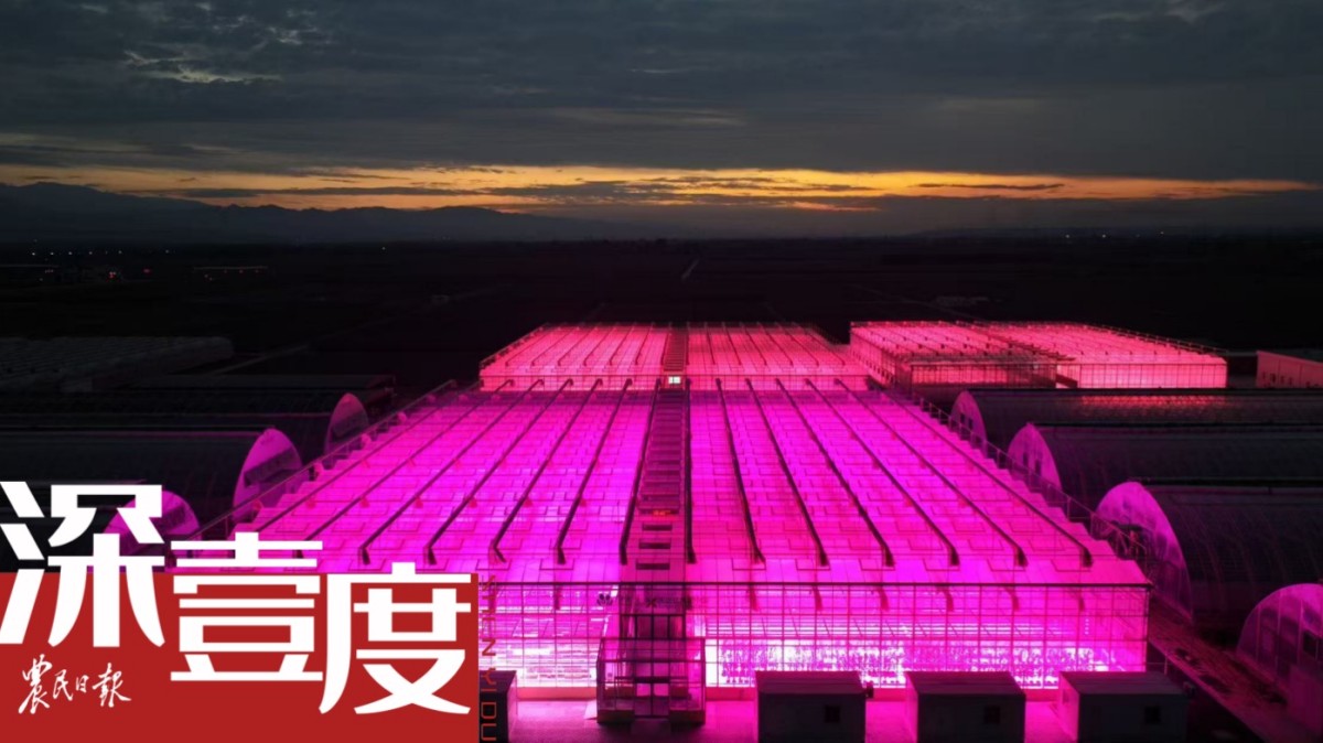 “一束光”如何照亮农业生产？