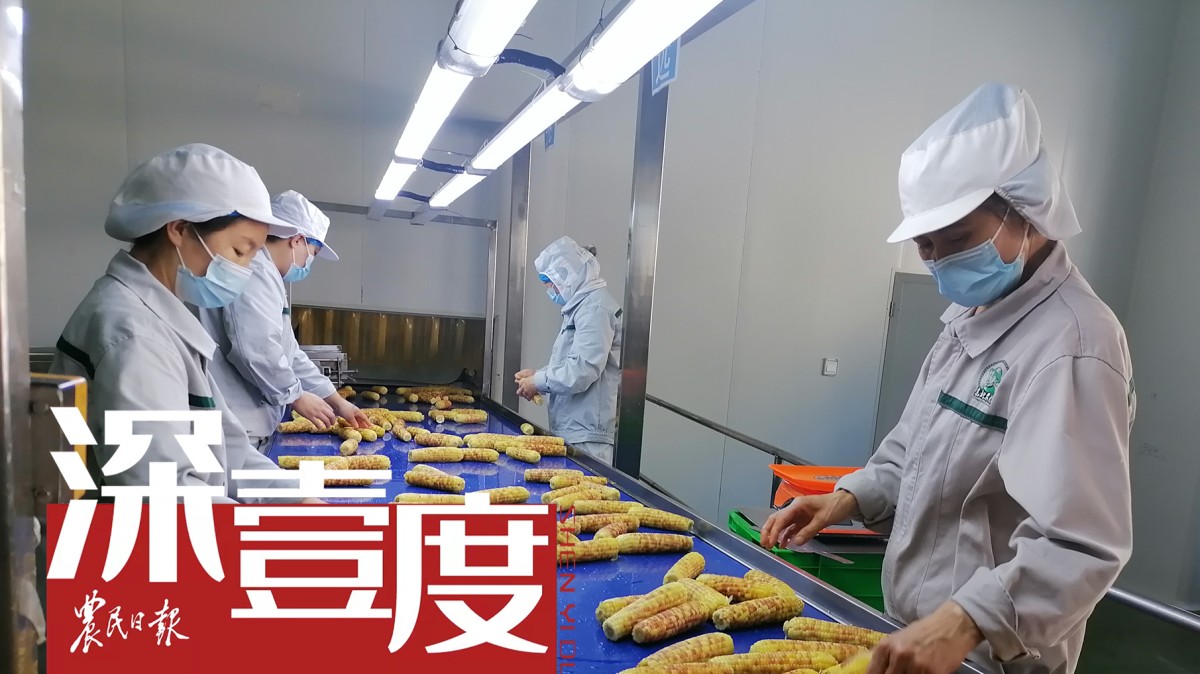 鲜食农产品缘何成“餐桌新宠”？