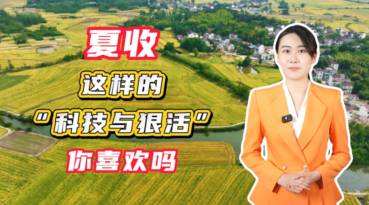 夏收，这样的“科技与狠活”你喜欢吗？