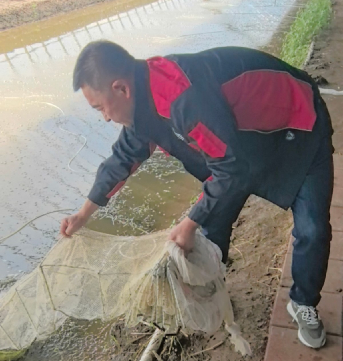 黑龙江方正县：擦亮寒地小龙虾金字招牌