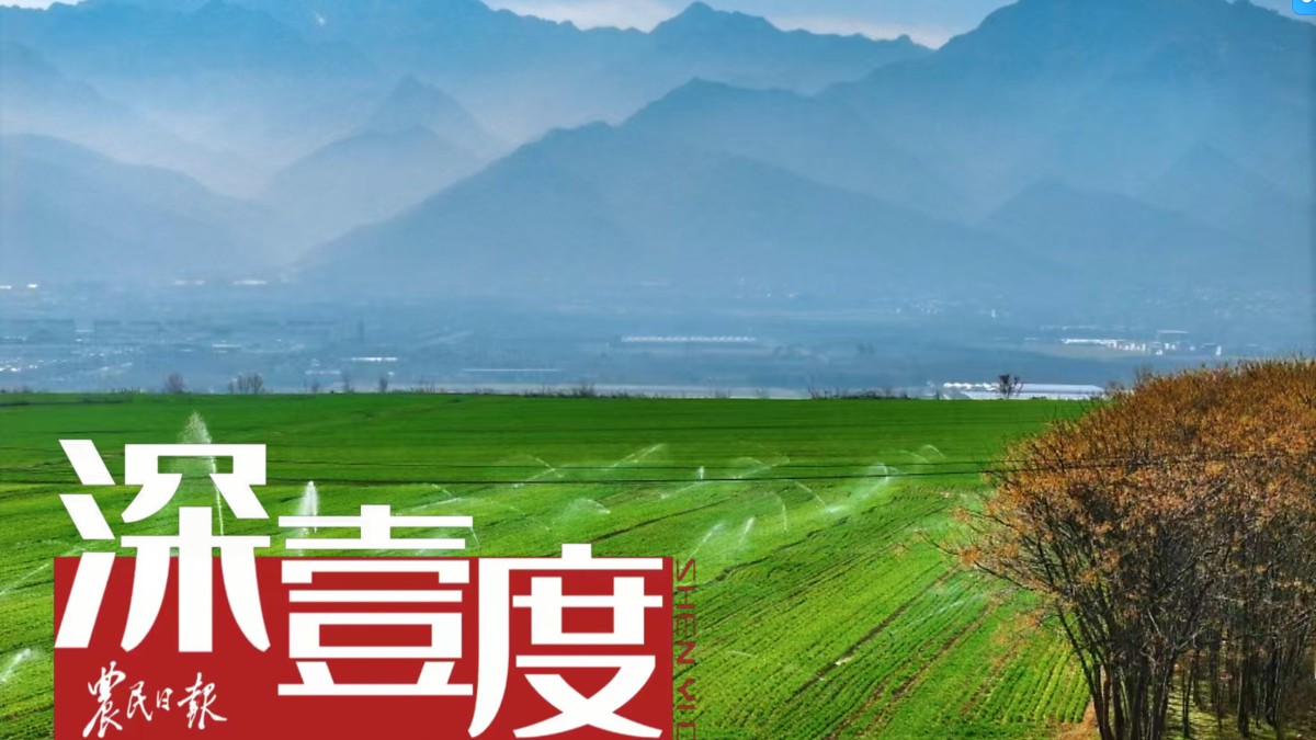 为高标准农田插上“智慧的翅膀”