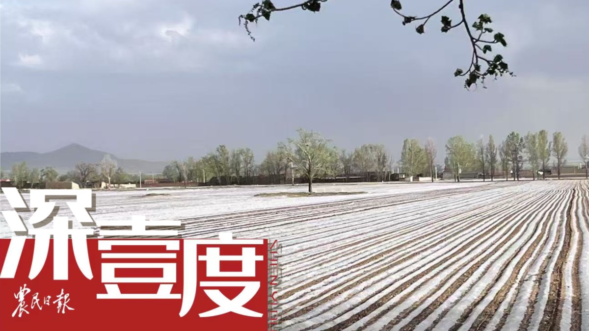 废旧地膜如何实现“绿色重生”？