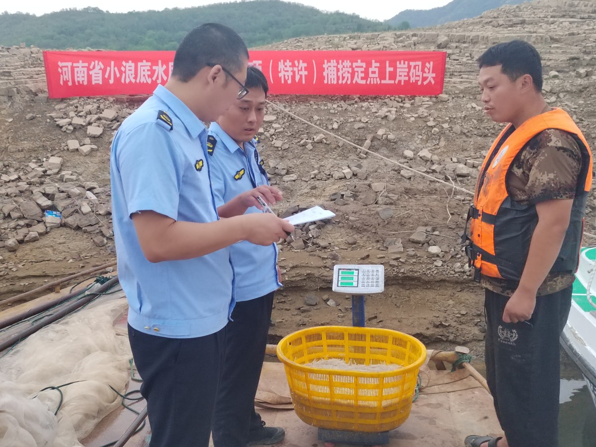 首次试行黄河休禁渔期间小浪底水库专项捕捞取得开门红