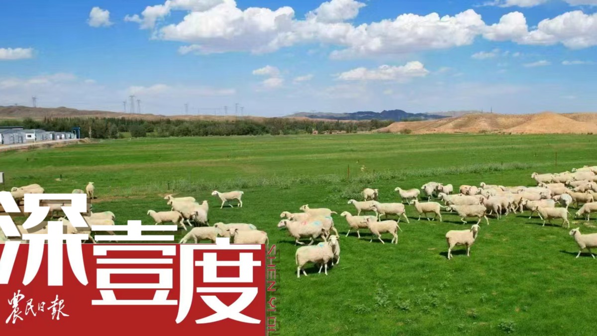 特色奶缘何成为乳品消费新宠