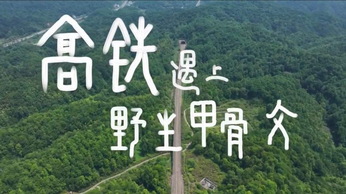 创意满满！用甲骨文打开中国高铁
