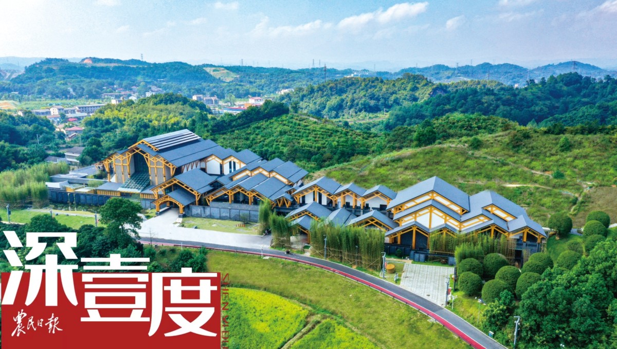 探访清溪村——看文学如何点亮“新山乡巨变”