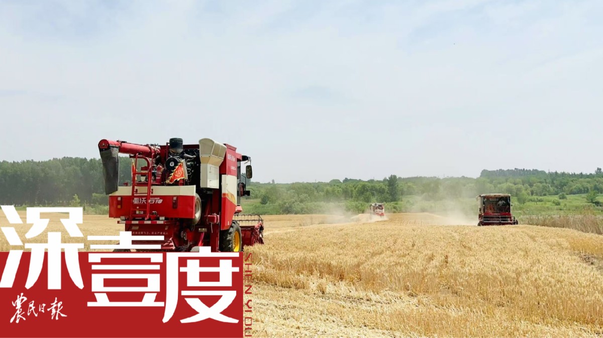 新型农业经营主体何以成为提单产“生力军”