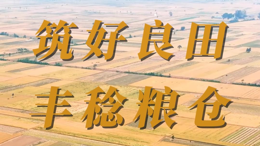 我家有良田 | 筑好良田 丰稔粮仓