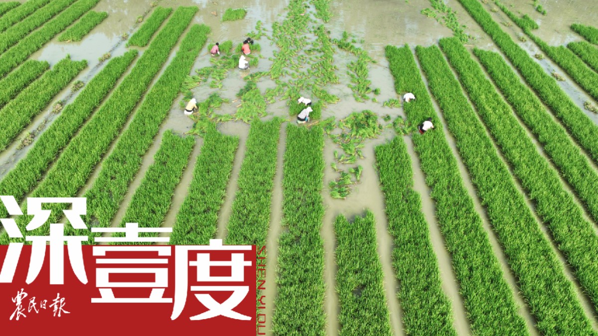 如何补偿粮食主产区？