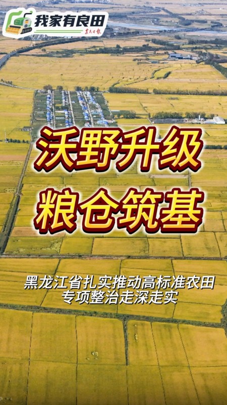 我家有良田 | 沃野升级 粮仓筑基