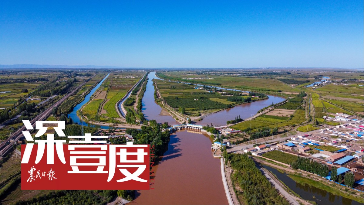 干旱地区如何探索节水增粮之道？