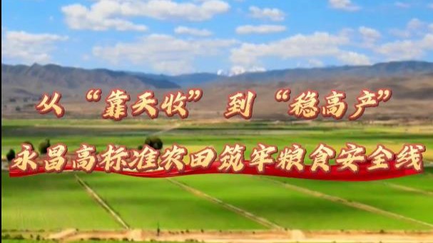 我家有良田 | 从“靠天收”到“稳高产”<br>——甘肃省永昌县高标准农田筑牢粮食安全底线