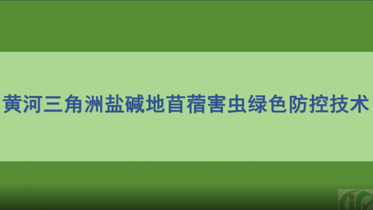 黄河三角洲盐碱地苜蓿害虫绿色防控技术